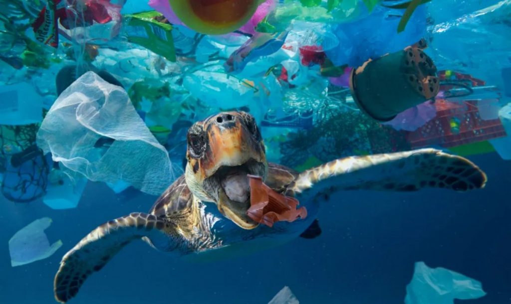 20partners-dutyfree Ocean-Cover-pic-1024x610 Make it count: Do more than just turn off the lights this Earth Hour Journal  Sustainability 